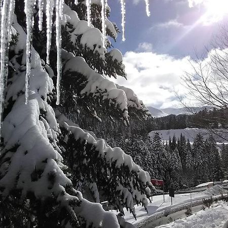 Les Marmottes Appartement Arpajon-sur-Cere Buitenkant foto